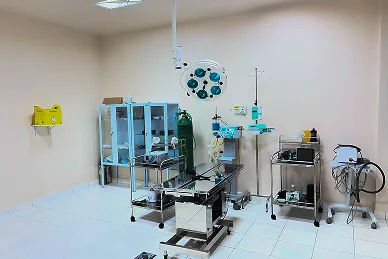Clínica Escola de Medicina Veterinária